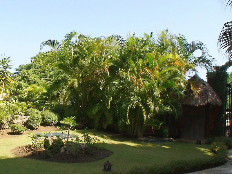 Victorian House Hotel Sosua 3*,